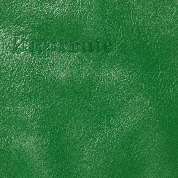 Supreme Schott Leather Racer Jacket - Green (front)