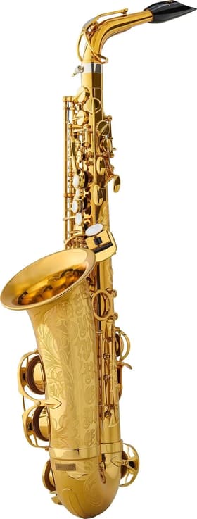 Supreme Selmer Alto Saxophone Brass