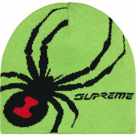 Supreme Spyder Beanie Green