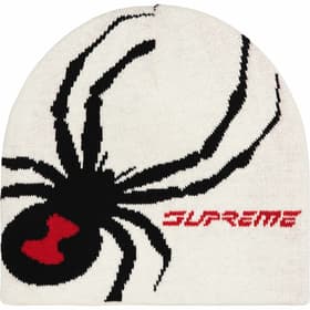 Supreme Spyder Beanie Stone
