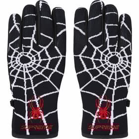 Supreme Spyder Gloves Black
