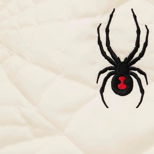 Supreme Spyder Technical Jacket - Stone (front)