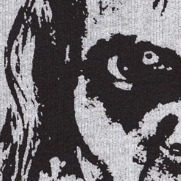 Supreme The Exorcist Hooded Sweatshirt - Black (front)