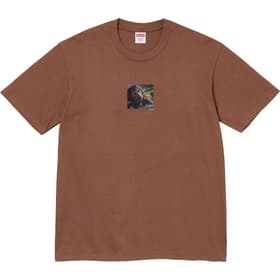 Supreme The Exorcist Puke Tee Brown