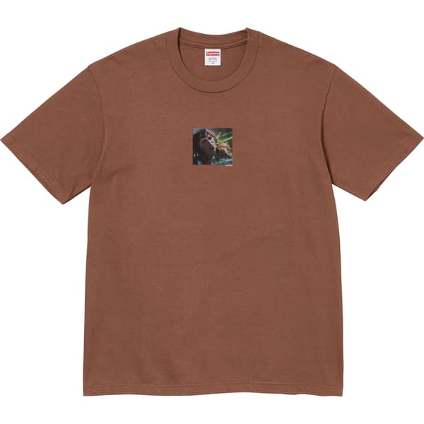 Supreme The Exorcist Puke Tee - Brown (front)