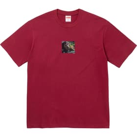 Supreme The Exorcist Puke Tee Cardinal