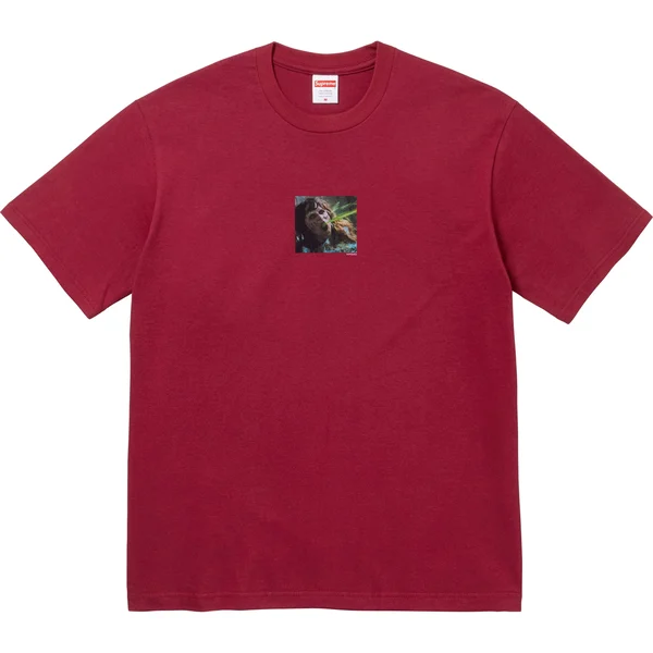 Supreme The Exorcist Puke Tee - Cardinal (front)