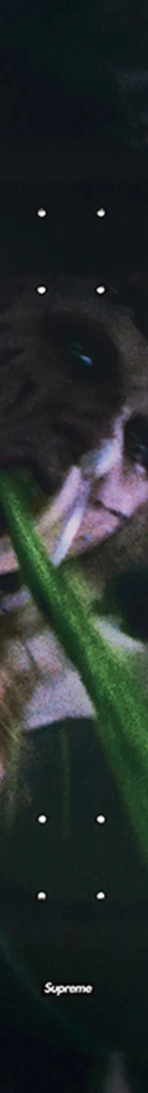 Supreme The Exorcist Skateboard - 8.5" x 32.25" (front)