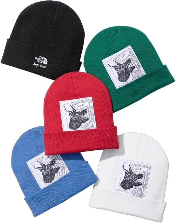 Supreme The North Face Beanie - Product Image