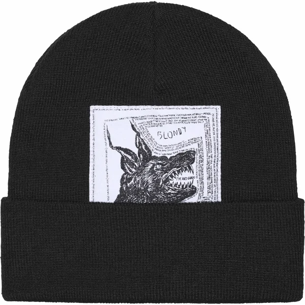 Supreme The North Face Beanie - Black (front)