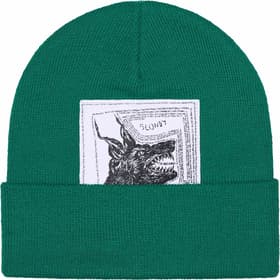 Supreme The North Face Beanie Green
