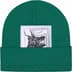 Supreme The North Face Beanie - Green (front)