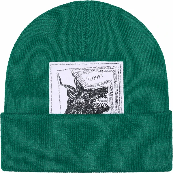 Supreme The North Face Beanie - Green (front)