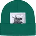 Supreme The North Face Beanie - Green (front)