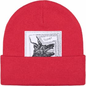 Supreme The North Face Beanie Red