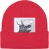 Supreme The North Face Beanie - Red (front)