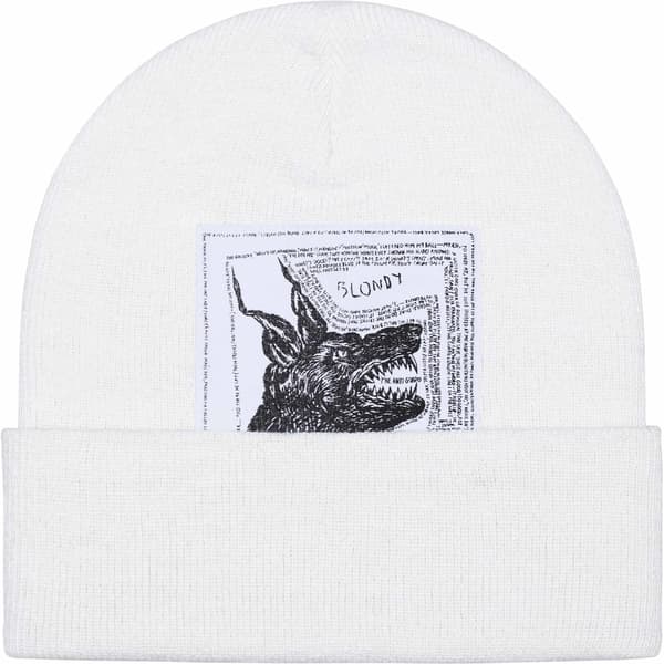 Supreme The North Face Beanie - White (front)