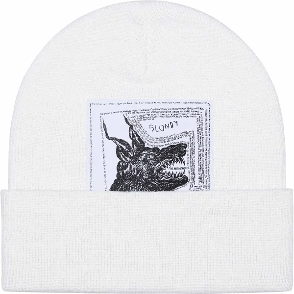 Supreme The North Face Beanie - White (front)