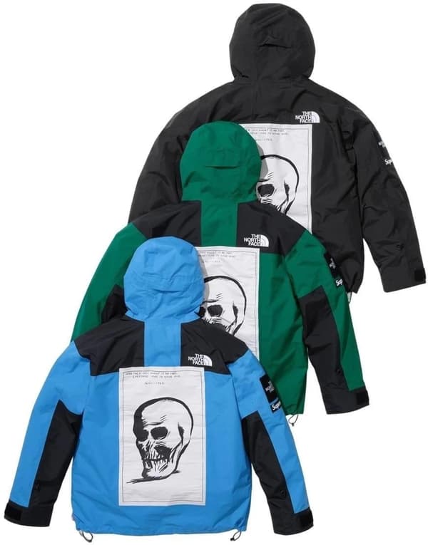 Supreme The North Face Mountain Jacket - Product Image