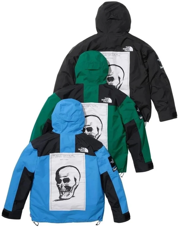 Supreme The North Face Mountain Jacket - Product Image