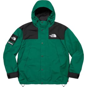 Supreme The North Face Mountain Jacket Green