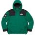 Supreme The North Face Mountain Jacket - Green (front)