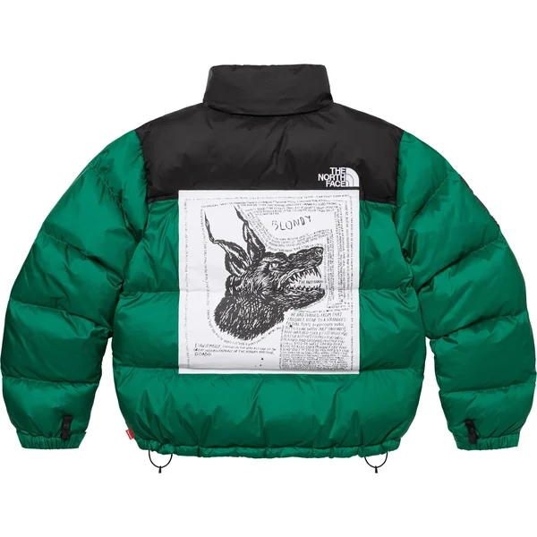Supreme The North Face Nuptse Jacket - Green (front)