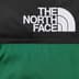 Supreme The North Face Nuptse Jacket - Green (front)