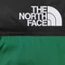 Supreme The North Face Nuptse Jacket - Green (front)