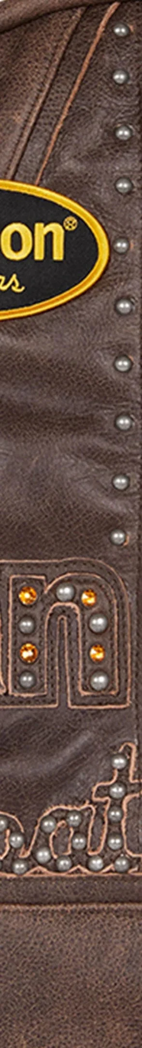 Supreme Vanson Leathers b.b. Simon Backpack - Brown (front)