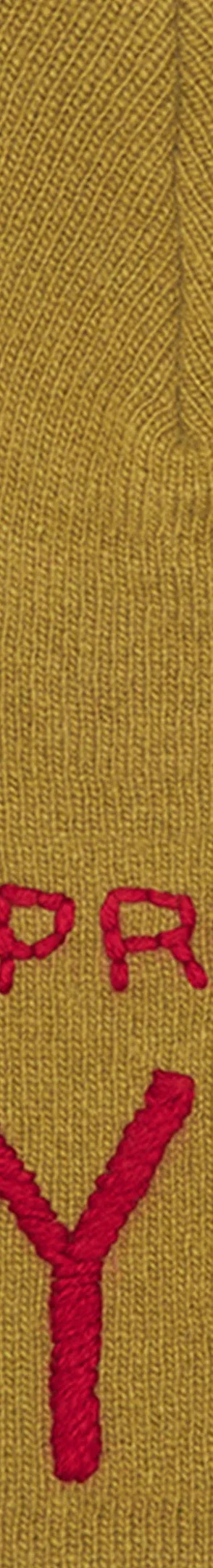 Supreme Y’s Skull Beanie - Olive (front)