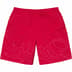 Supreme Tag Nylon Short - Red (front)