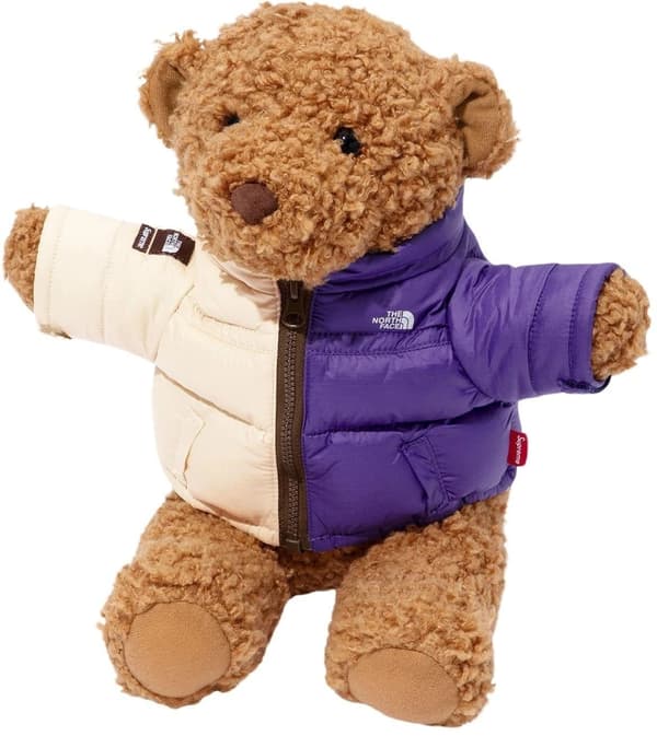 Supreme The North Face Bear - Product Image