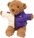 Supreme The North Face Bear