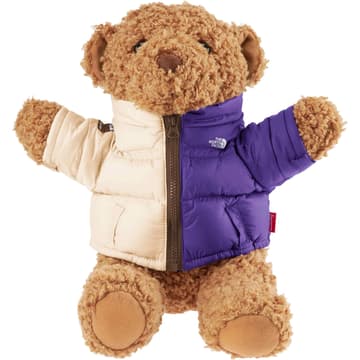 Supreme The North Face Bear