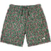 Supreme The North Face High Pile Fleece Short - Multicolor (front)