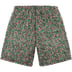 Supreme The North Face High Pile Fleece Short - Multicolor (front)