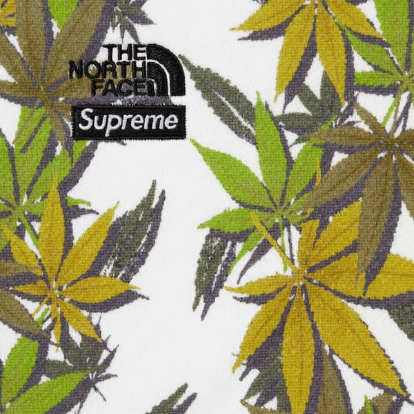 Supreme The North Face Leaf Hooded Sweatshirt - White (front)
