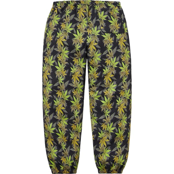 Supreme The North Face Leaf Sweatpant - Black (front)