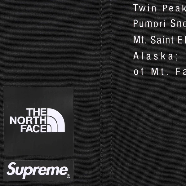 Supreme The North Face Nylon Short - Black (front)