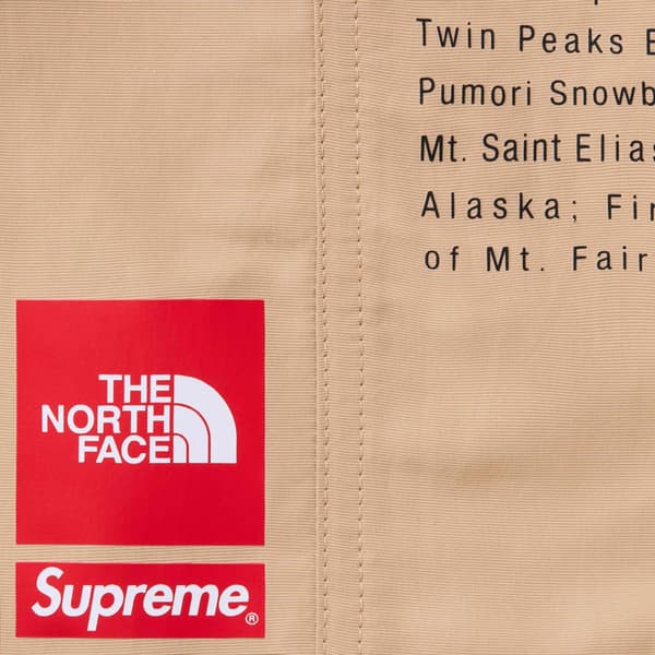 Supreme The North Face Nylon Short - Khaki (front)