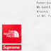 Supreme The North Face Nylon Short - White (front)