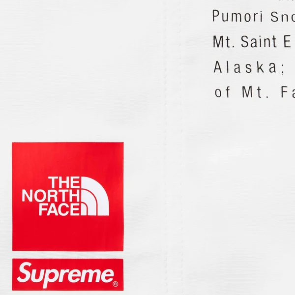 Supreme The North Face Nylon Short - White (front)