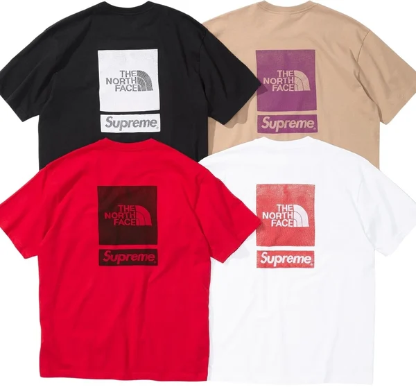 Supreme The North Face S/S Top - Product Image