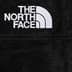 Supreme The North Face Suede 600-Fill Down Parka - Black (front)