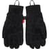 Supreme The North Face Suede Glove - Black (front)