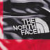 Supreme The North Face Trompe L’oeil Printed Taped Seam Shell Jacket - Red (front)