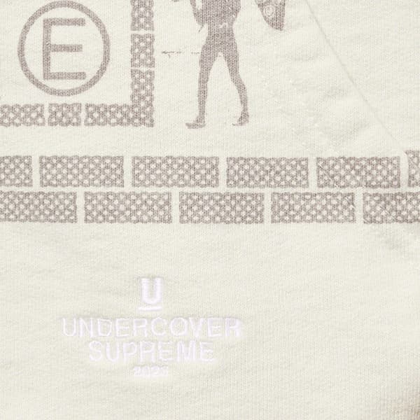 Supreme UNDERCOVER Zip Up Hooded Sweatshirt - Stone (front)