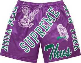 Supreme Varsity Mesh Short Purple