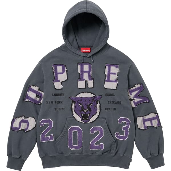 Supreme Washed Panther Hooded Sweatshirt - Black (front)